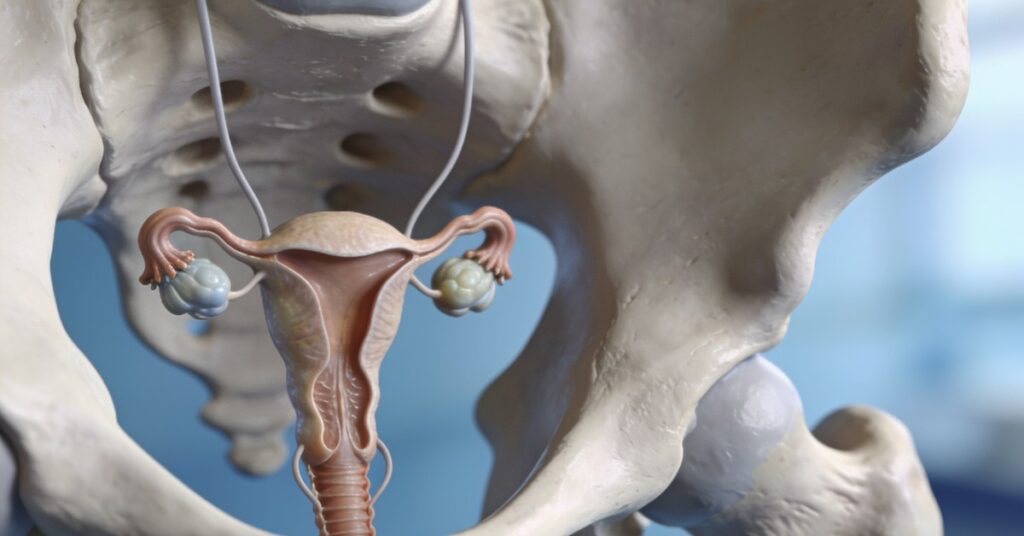 Does man have uterus? Persistent Müllerian Duct Syndrome Explained