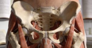 Kegel exercises for men PDF: Pelvic floor guide for every patient