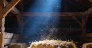 What are the symptoms of hantavirus and hantavirus pulmonary syndrome?