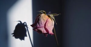 Face of depression: Beyond the Bojack Horseman episode and symptoms